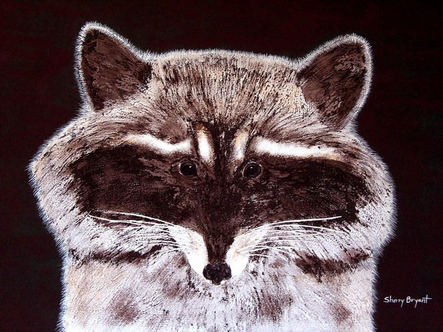 Raccoons. Spectacular Spirit Animal Prints by acclaimed animal